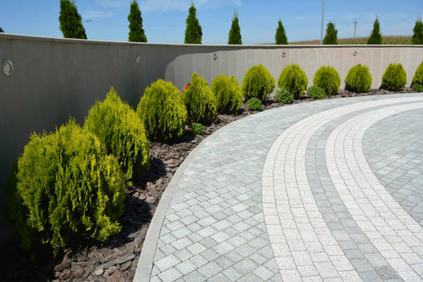 Best Decorative Driveway Paving in Yelm, WA